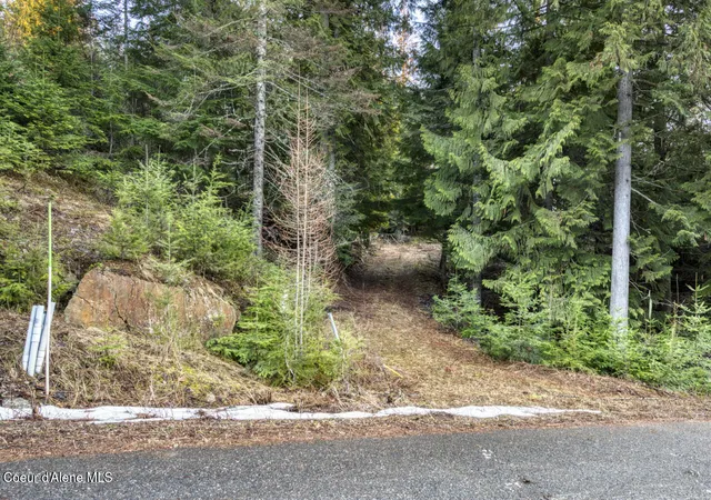 17th image of Nna White Cloud, Sandpoint, ID 83864 | MLS# 26-8577