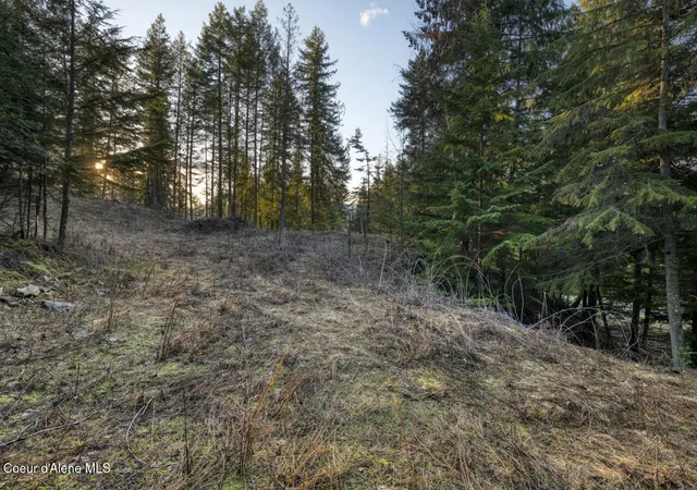 1st image of Nna White Cloud, Sandpoint, ID 83864 | MLS# 26-8577