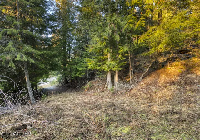 2nd image of Nna White Cloud, Sandpoint, ID 83864 | MLS# 26-8577