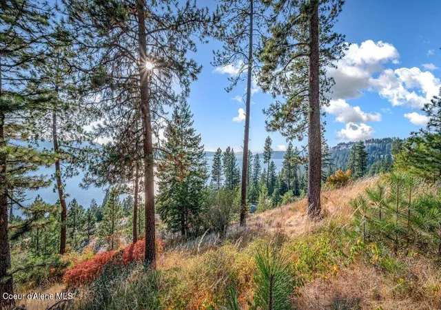 1st image of Nna Bedrock Dr, Harrison, ID 83833 | MLS# 26-8608