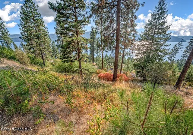 3rd image of Nna Bedrock Dr, Harrison, ID 83833 | MLS# 26-8608