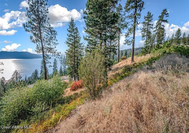 4th image of Nna Bedrock Dr, Harrison, ID 83833 | MLS# 26-8608