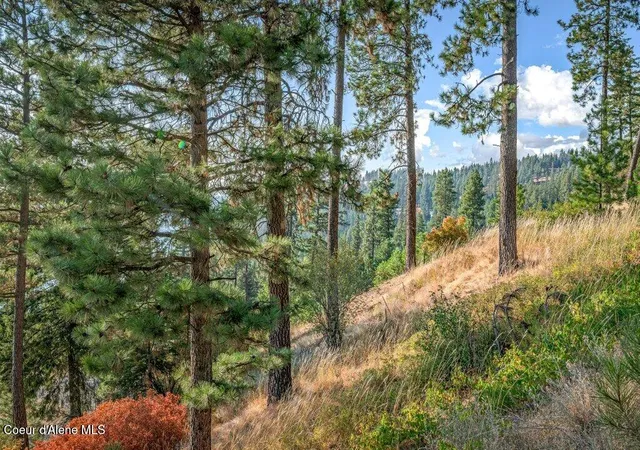 5th image of Nna Bedrock Dr, Harrison, ID 83833 | MLS# 26-8608