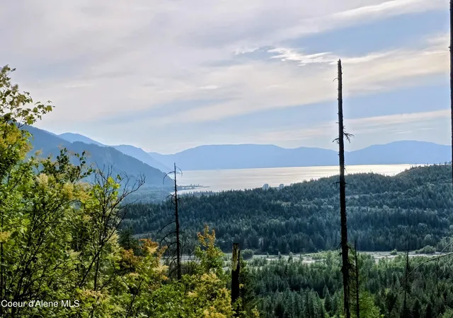 58th image of Nka Silver Creek Road, Clark Fork, ID 83811 | MLS# 26-8613