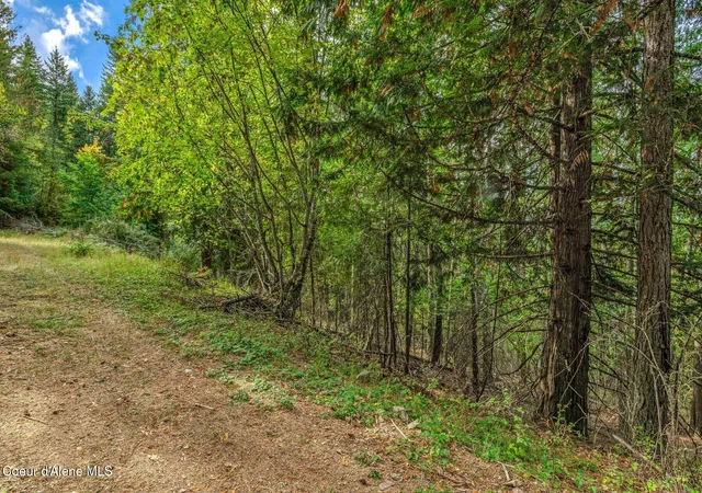 Photo 4 of Land for sale at Nka Silver Crk Rd, Clark Fork, ID 83811 | MLS# 26-8613 | Listing updated on 2026-08-20