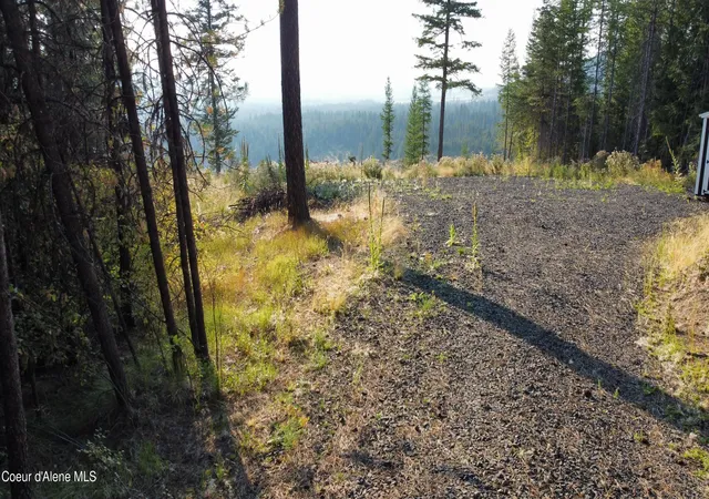 18th image of 972 Crystal Peak Rd, Fernwood, ID 83830 | MLS# 26-8623