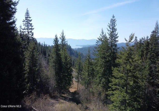 Photo 3 of Land for sale at Nna Green Monarch Lane, Sandpoint, ID 83864 | MLS# 26-8694 | Listing updated on 2026-08-24