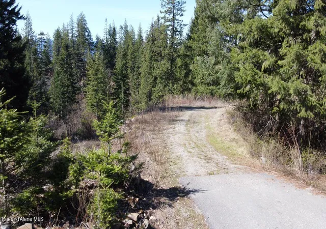 Photo 3 of Land for sale at Nna Green Monarch Lane, Sandpoint, ID 83864 | MLS# 26-8694 | Listing updated on 2026-09-29