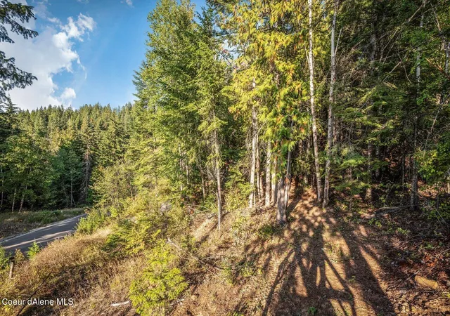 Photo 3 of Land for sale at Nna C5 S Idaho Club Dr, Sandpoint, ID 83864 | MLS# 26-8696 | Listing updated on 2026-09-29