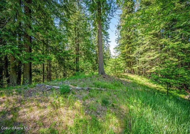 Photo 3 of Land for sale at Nna C8 S Idaho Club Dr, Sandpoint, ID 83864 | MLS# 26-8698 | Listing updated on 2026-09-29