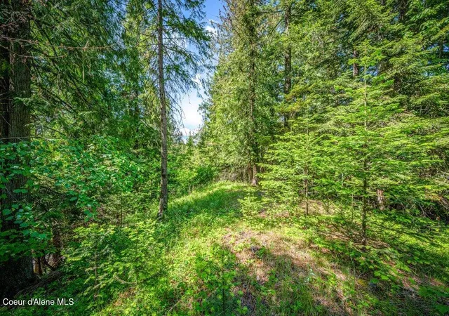 Photo 4 of Land for sale at Nna C8 S Idaho Club Dr, Sandpoint, ID 83864 | MLS# 26-8698 | Listing updated on 2026-09-29