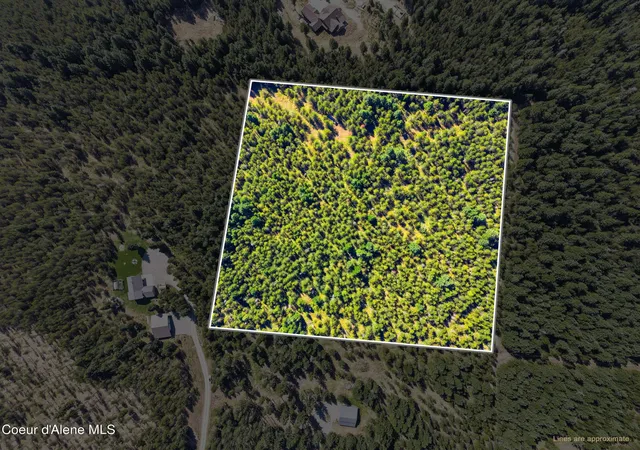 Photo 3 of Land for sale at Nka N Red Fir Rd, Athol, ID 83801 | MLS# 26-8714 | Listing updated on 2026-08-24