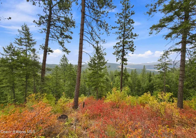 34th image of Nka Carr Creek Rd, Sandpoint, ID 83864 | MLS# 26-8724