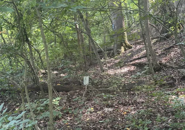 8th image of 5936 S Bear Wallow, Morgantown, IN 46160 | MLS# 22121892