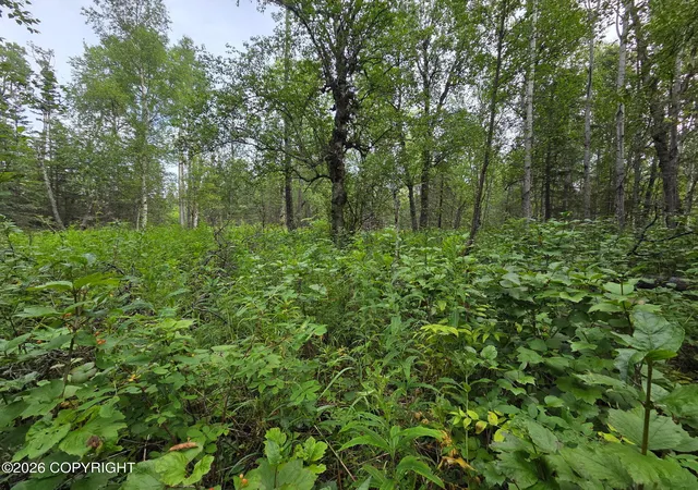 4th image of 10238 N Wolverine Rd, Palmer, AK 99645 | MLS# 26-10187