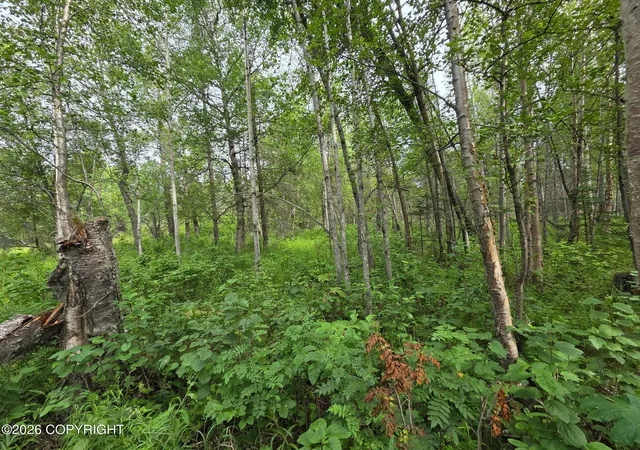 8th image of 10238 N Wolverine Rd, Palmer, AK 99645 | MLS# 26-10187