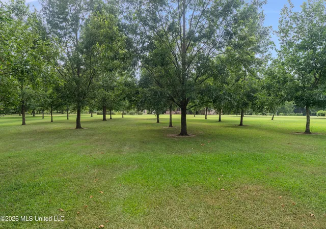 78th image of 7912 A Us 98, Summit, MS 39666 | MLS# 4158017