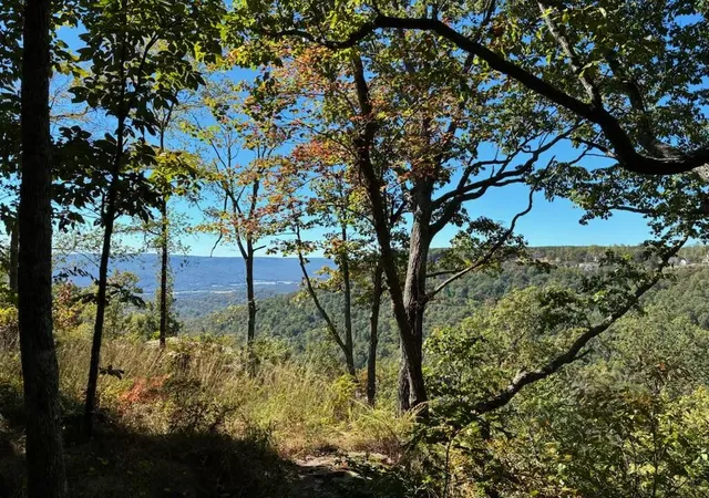 Photo 2 of Land for sale at 4093 Raulston Fls Rd, Jasper, TN 37347 | MLS# 1510929 | Listing updated on 2026-08-01
