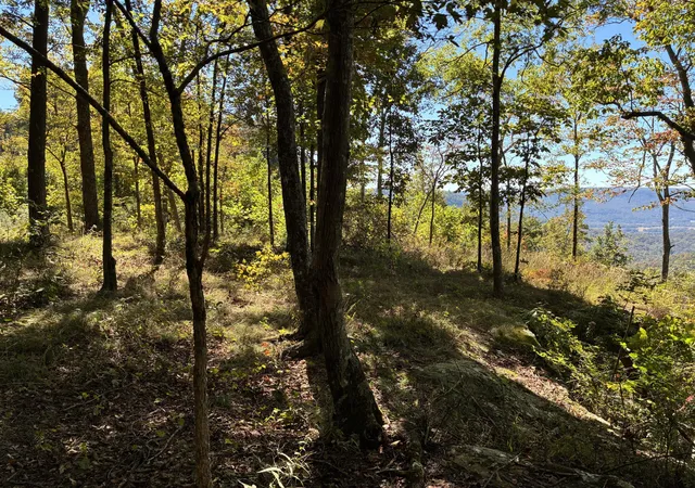 Photo 4 of Land for sale at 4093 Raulston Fls Rd, Jasper, TN 37347 | MLS# 1510929 | Listing updated on 2026-08-01