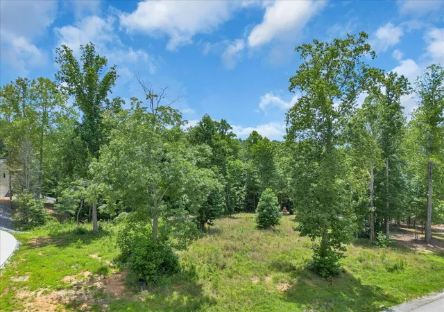 Photo 3 of Land for sale at 0 Moonlight Ln #JF433, Jasper, TN 37347 | MLS# 1528159 | Listing updated on 2026-08-04