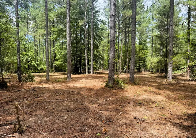 1st image of 2e 7 Charles Rd, Decatur, TN 37322 | MLS# 1530886