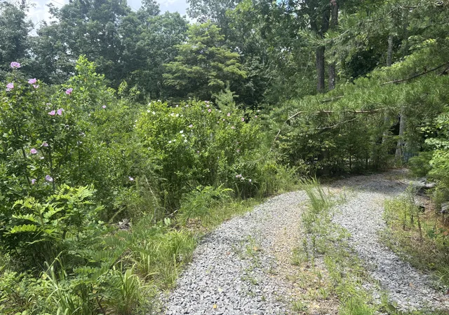 27th image of 590 Black Mountain Rd, Dunlap, TN 37327 | MLS# 1535029
