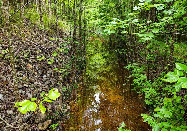 25th image of 0 Walden Dr #Lot 27, Signal Mountain, TN 37377 | MLS# 1532028