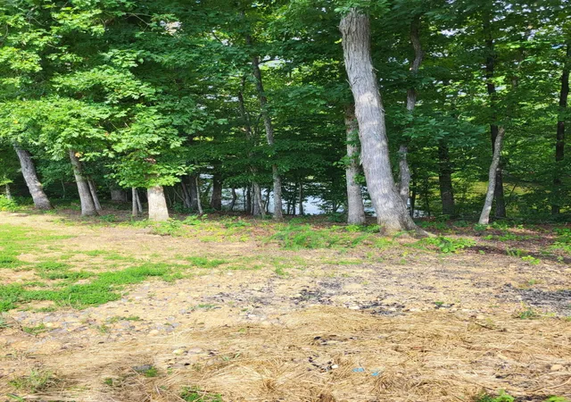 100th image of 2515 Cottonport Rd, Decatur, TN 37322 | MLS# 1531943