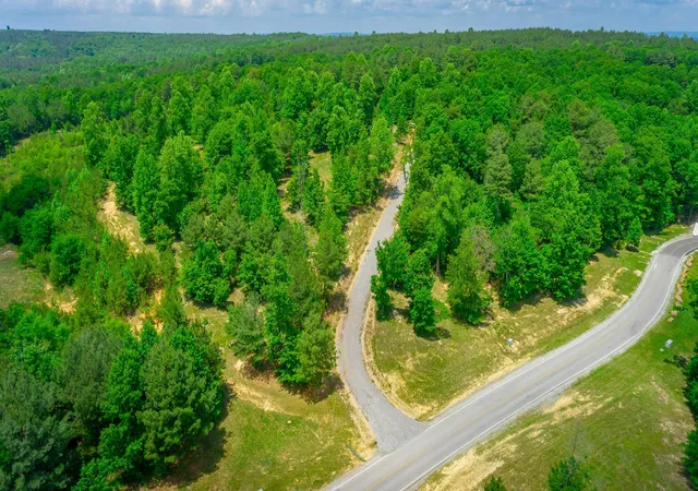 Photo 3 of Land for sale at 0 River Blfs Dr #143, Jasper, TN 37347 | MLS# 1535285 | Listing updated on 2026-08-22