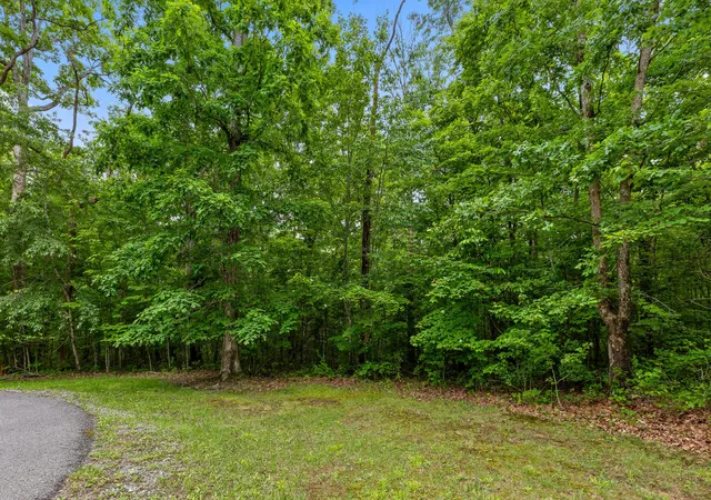 Photo 4 of Land for sale at Lot 41 Quill Hvn Dr, Signal Mountain, TN 37377 | MLS# 1536062 | Listing updated on 2026-08-18