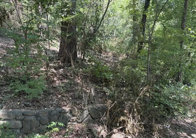 Photo 14 of Land for sale at 163 Dal Brown Rd, Chattanooga, TN 37405 | MLS# 1537198 | Listing updated on 2026-09-10