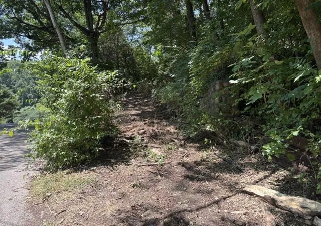 Photo 2 of Land for sale at 163 Dal Brown Rd, Chattanooga, TN 37405 | MLS# 1537198 | Listing updated on 2026-09-10