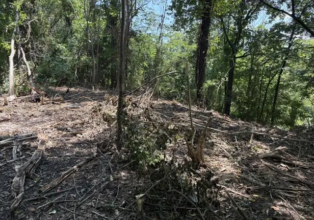 Photo 3 of Land for sale at 163 Dal Brown Rd, Chattanooga, TN 37405 | MLS# 1537198 | Listing updated on 2026-09-10