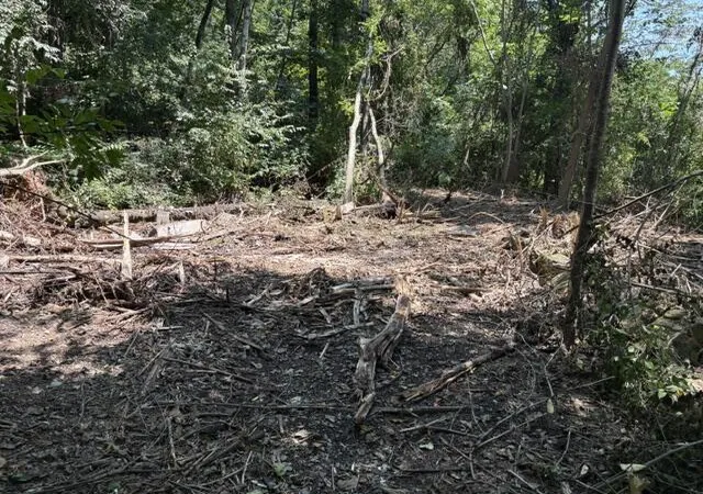 Photo 3 of Land for sale at 163 Dal Brown Rd, Chattanooga, TN 37405 | MLS# 1537198 | Listing updated on 2026-09-10