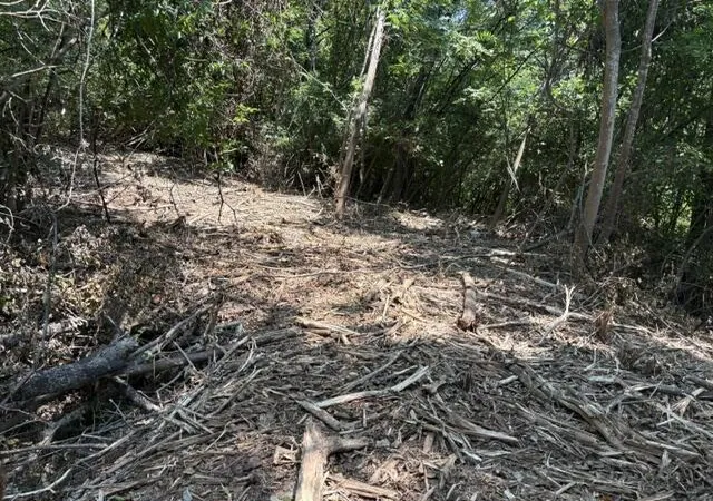 Photo 4 of Land for sale at 163 Dal Brown Rd, Chattanooga, TN 37405 | MLS# 1537198 | Listing updated on 2026-09-10