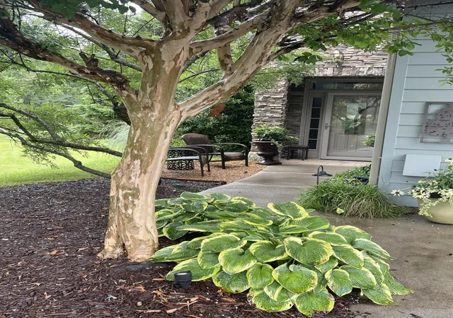 Photo 2 of Townhouse for sale at 2317 Rivendell Ln, Chattanooga, TN 37421 | MLS# 1539272 | Listing updated on 2026-10-06