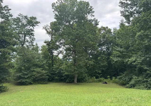 40th image of 852 Incline Rd, Whitwell, TN 37397 | MLS# 1538945
