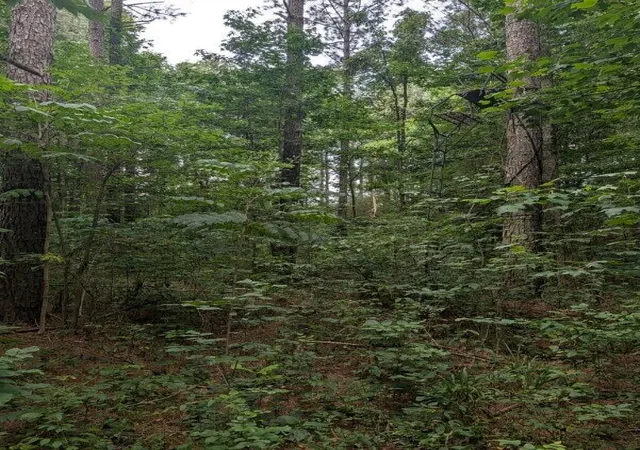 16th image of 1670 Samples Chapel Rd Se, Old Fort, TN 37362 | MLS# 1538910