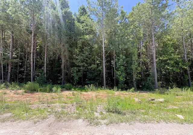 Photo 2 of Land for sale at 5199 Split Rail Way #1151, Guild, TN 37340 | MLS# 1539137 | Listing updated on 2026-07-21