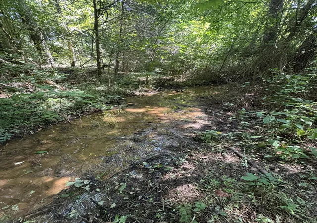 56th image of 135 Mcdonough Rd, Whitwell, TN 37397 | MLS# 1538783