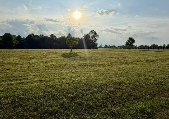 Photo 3 of Land for sale at 0 Jasper Highlands Blvd #192, Jasper, TN 37347 | MLS# 1538826 | Listing updated on 2026-07-29