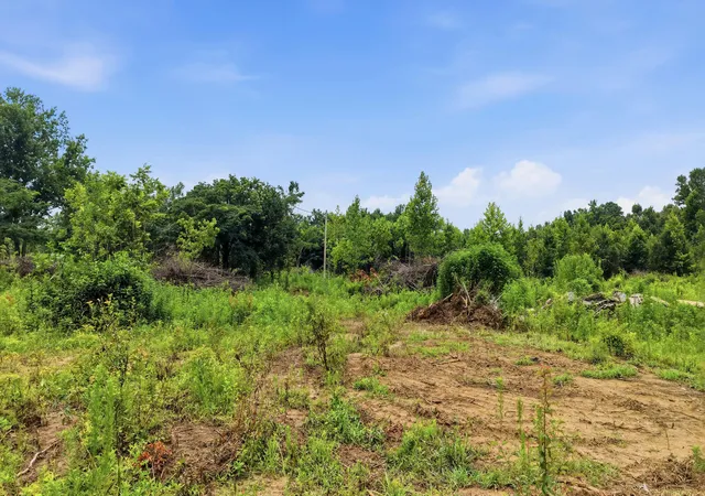 Photo 4 of Land for sale at 309 County Rd 315 #2, Bryant, AL 35958 | MLS# 1538850 | Listing updated on 2026-07-16