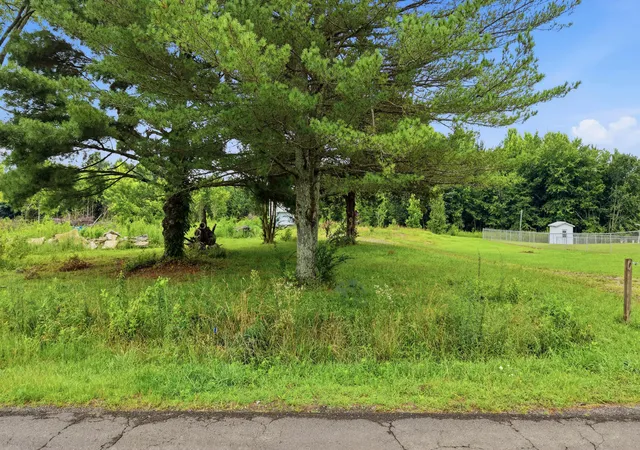 Photo 3 of Land for sale at 319 County Rd 315 #3, Bryant, AL 35958 | MLS# 1538851 | Listing updated on 2026-07-16