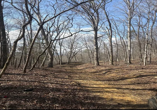 Photo 2 of Land for sale at 0 Shattuck Industrial Blvd, La Fayette, GA 30728 | MLS# 1538838 | Listing updated on 2026-07-28