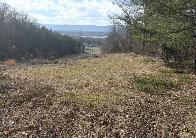 Photo 3 of Land for sale at 0 Shattuck Industrial Blvd, La Fayette, GA 30728 | MLS# 1538838 | Listing updated on 2026-07-28