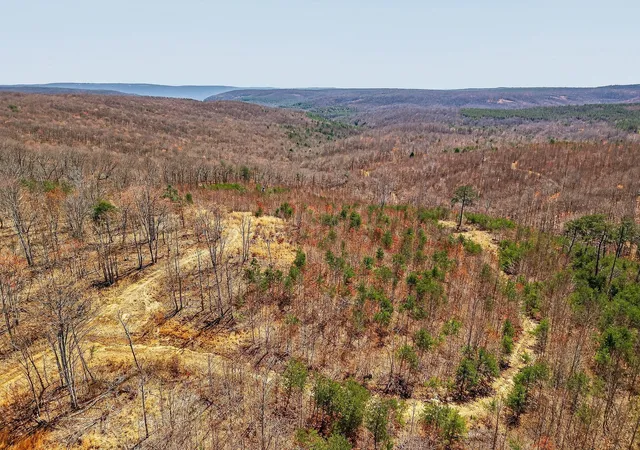 1st image of 253 Hwy 27 Daus Mountain Rd, Palmer, TN 37365 | MLS# 1538798