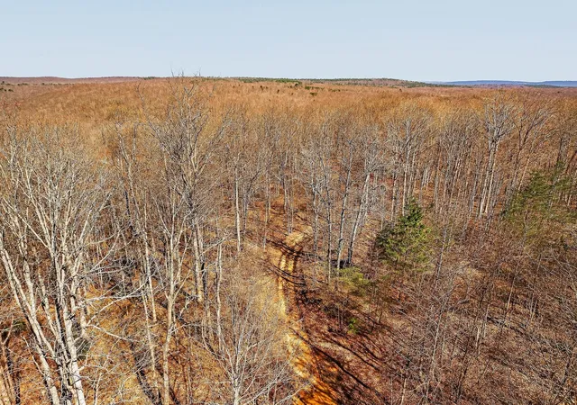 Photo 3 of Land for sale at 253 Hwy 27 Daus Mountain Rd, Palmer, TN 37365 | MLS# 1538798 | Listing updated on 2026-07-16