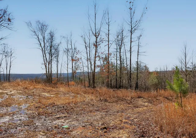 Photo 3 of Land for sale at 253 Hwy 27 Daus Mountain Rd, Palmer, TN 37365 | MLS# 1538798 | Listing updated on 2026-07-16