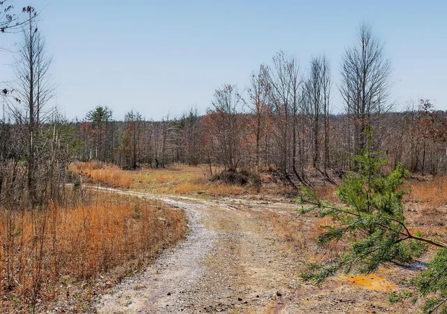 72nd image of 253 Hwy 27 Daus Mountain Rd, Palmer, TN 37365 | MLS# 1538798