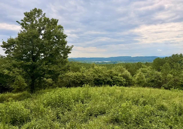 1st image of 847 Eads Bluff Rd Nw, Georgetown, TN 37336 | MLS# 1539041